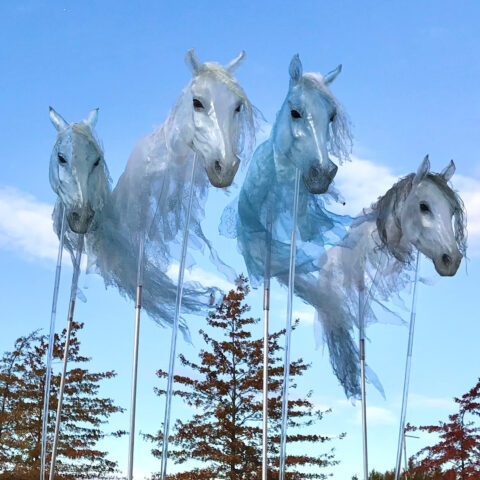 Performances Tollwood Muenchen Pantao Windpferde TEASER