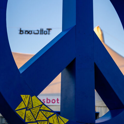 Tw.Wi25.Peace Zeichen.Foto Alexander Scharf3