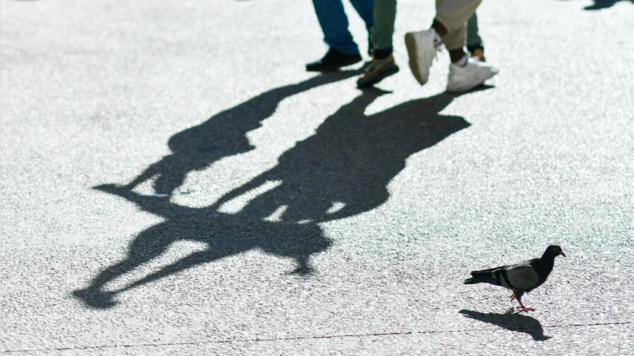 Compagnie Limmediat Walk Acts Tollwood So26 Foto Limmediat